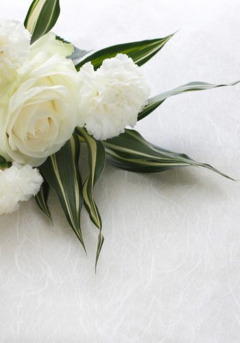 Three kinds of white flower arrangement material